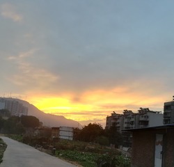 6864137