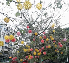 6842091