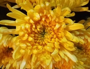 6869610