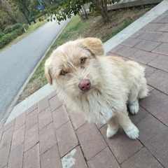 1803455