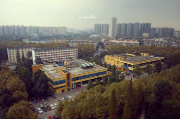 电子科技大学一景