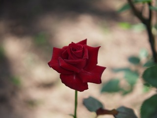 570