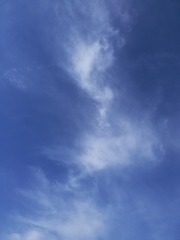 619268