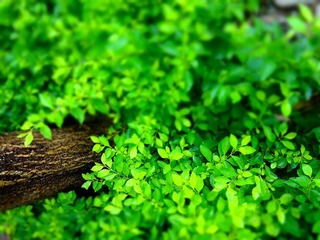 DSC00967_副本.jpg
