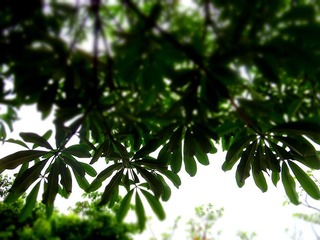 DSC00968_副本.jpg