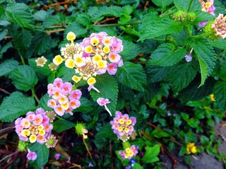 DSC00949_副本.jpg