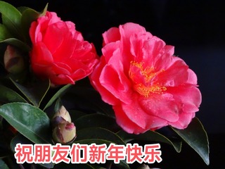 106071