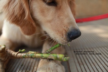 IMG_2985_副本.jpg