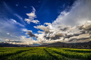 A14F6DF9-C34B-45B8-B576-C88E48672DA0/L0/001