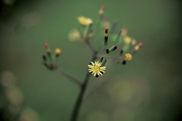 987FB643-221A-4CA2-8F18-0E8DC5449E10/L0/001