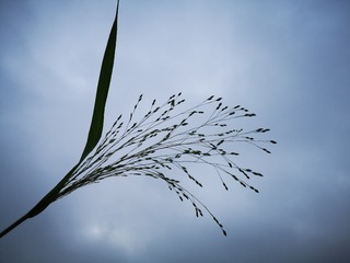 6415