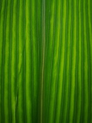 6700