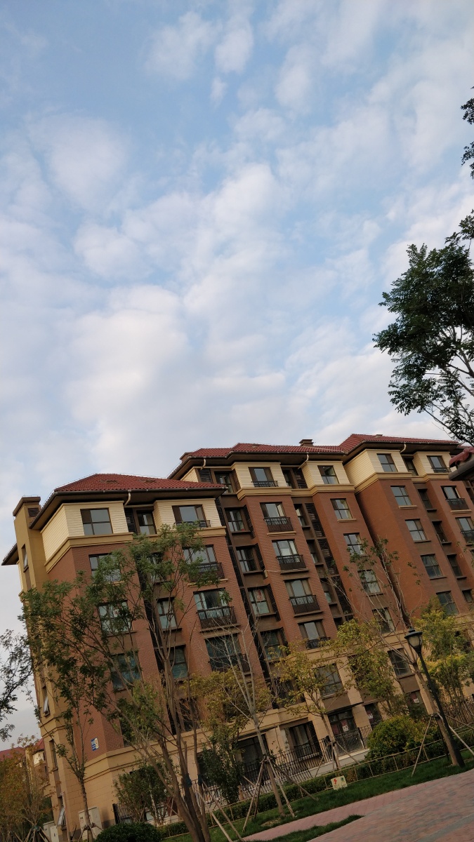 天津滨海新区大港星河荣御洋房