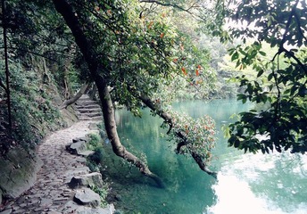 dsc08985_副本.jpg