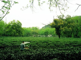 dsc09017_副本.jpg