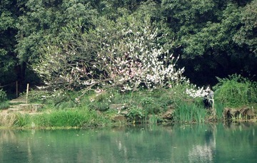 dsc08970_副本.jpg