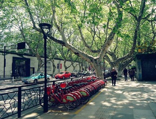 dsc09163_副本.jpg