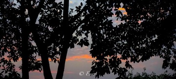 9340C9F5-D1FD-4B84-9613-8F7F0FB8905B/L0/001