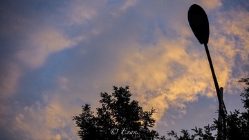 DF92A0CB-66C1-4356-A906-56D893CE208F/L0/001