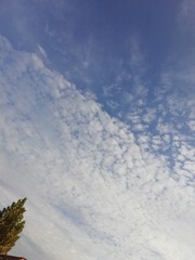 147