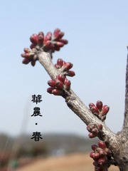 DSCF88601.jpg
