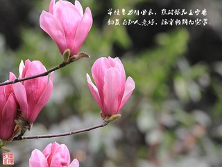 IMG_1546_副本.jpg