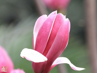 IMG_1548_副本.jpg