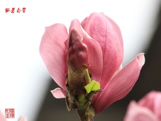 IMG_1551_副本.jpg