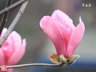 IMG_1552_副本.jpg