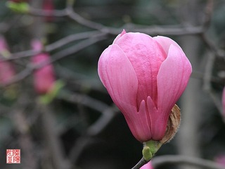 IMG_1555_副本.jpg
