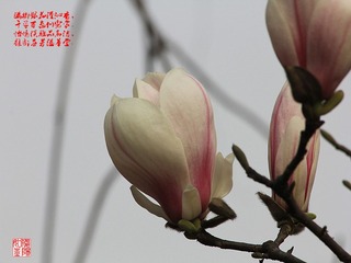IMG_1568_副本.jpg