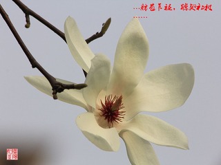 IMG_1574_副本.jpg