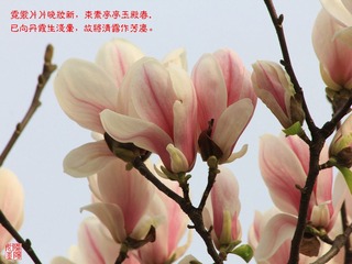 IMG_1579_副本.jpg