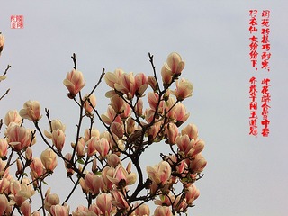 IMG_1583_副本.jpg