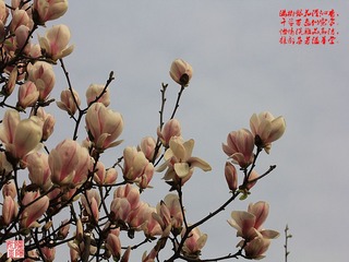 IMG_1584_副本.jpg