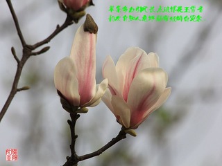 IMG_1585_副本.jpg