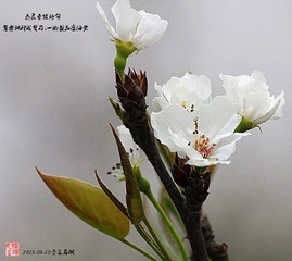 IMG_1612_副本.jpg