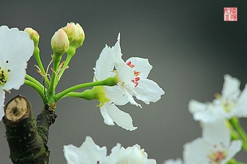 IMG_1649_副本.jpg