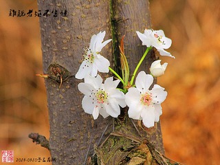 IMG_1652_副本.jpg