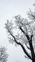 _FUV8939
