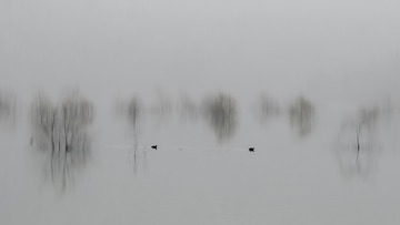 DSC00084 拷贝