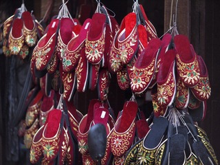 _ZYF2619.jpg