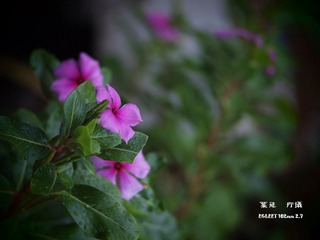 P9308353.JPG