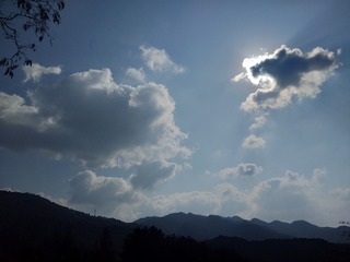 2010424