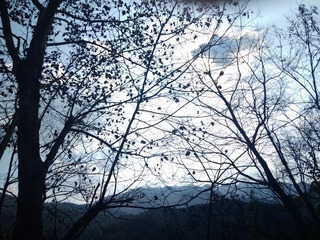 2010422