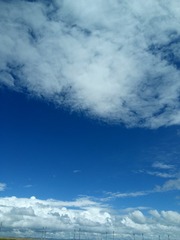 341