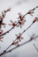 3F70A56F-343C-4017-BBAA-8072A7CF9737/L0/001