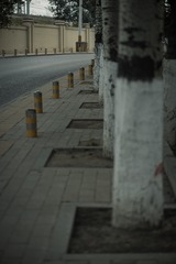 AFE47945-7015-43E8-B17B-D132869525C3/L0/001