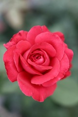 9C0359F2-6407-42F4-B0F7-C8EFC83A906C/L0/001