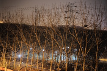 2F4D4E49-930B-4A09-B1E6-45B954183FC4/L0/001